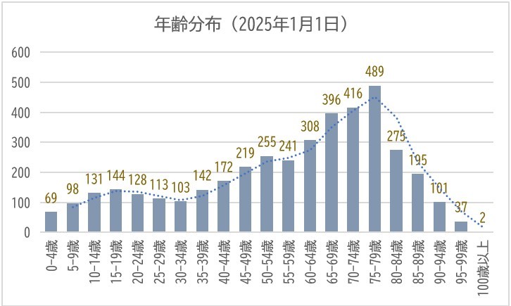 年齢分布2025